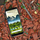 Imagen para el artículo titulado Las mejores novedades de Android Q y cómo probarlas